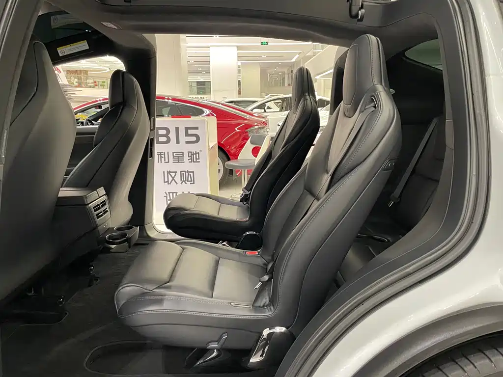 Tesla Model X 2019