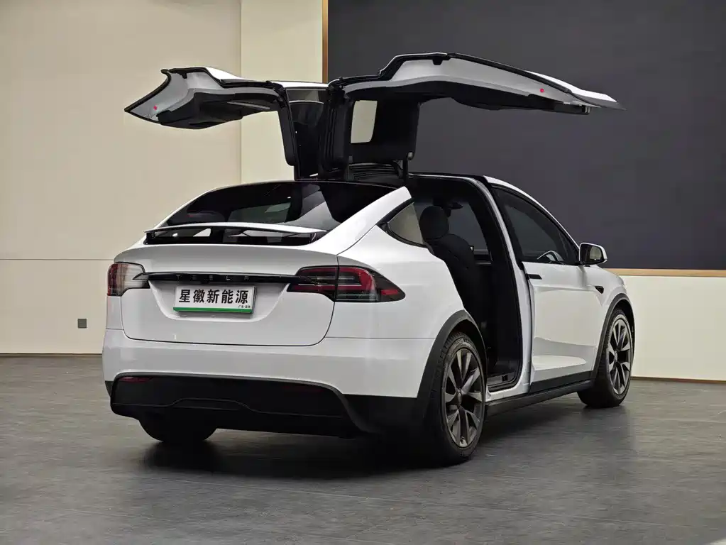 Tesla Model X 2024 — фото 14