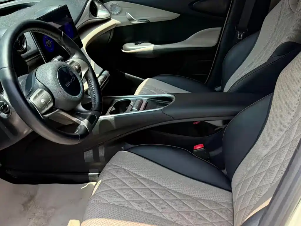 BYD Dolphin 2022
