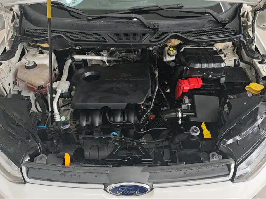 Ford Ecosport 2014 — фото 10