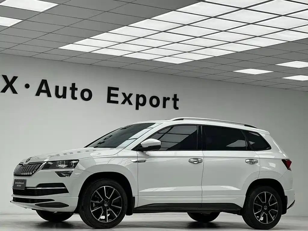 Skoda Karoq 2023 — фото 21