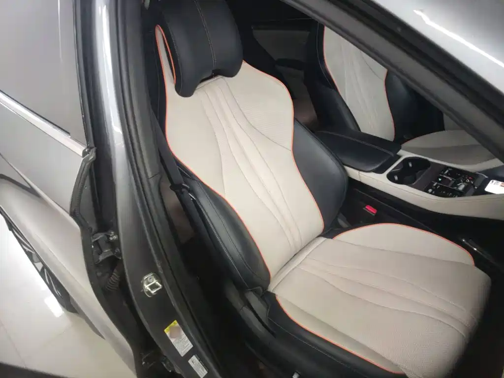 BYD Song PLUS New Energy 2023 — фото 20