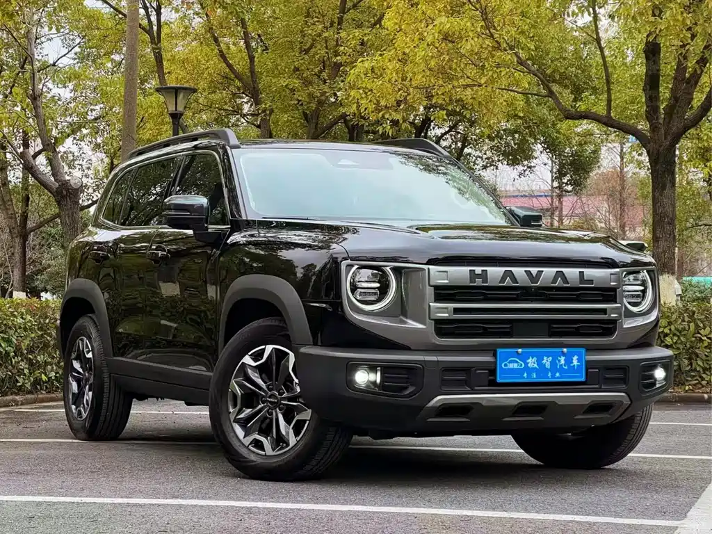 Haval Big Dog 2024 — фото 9
