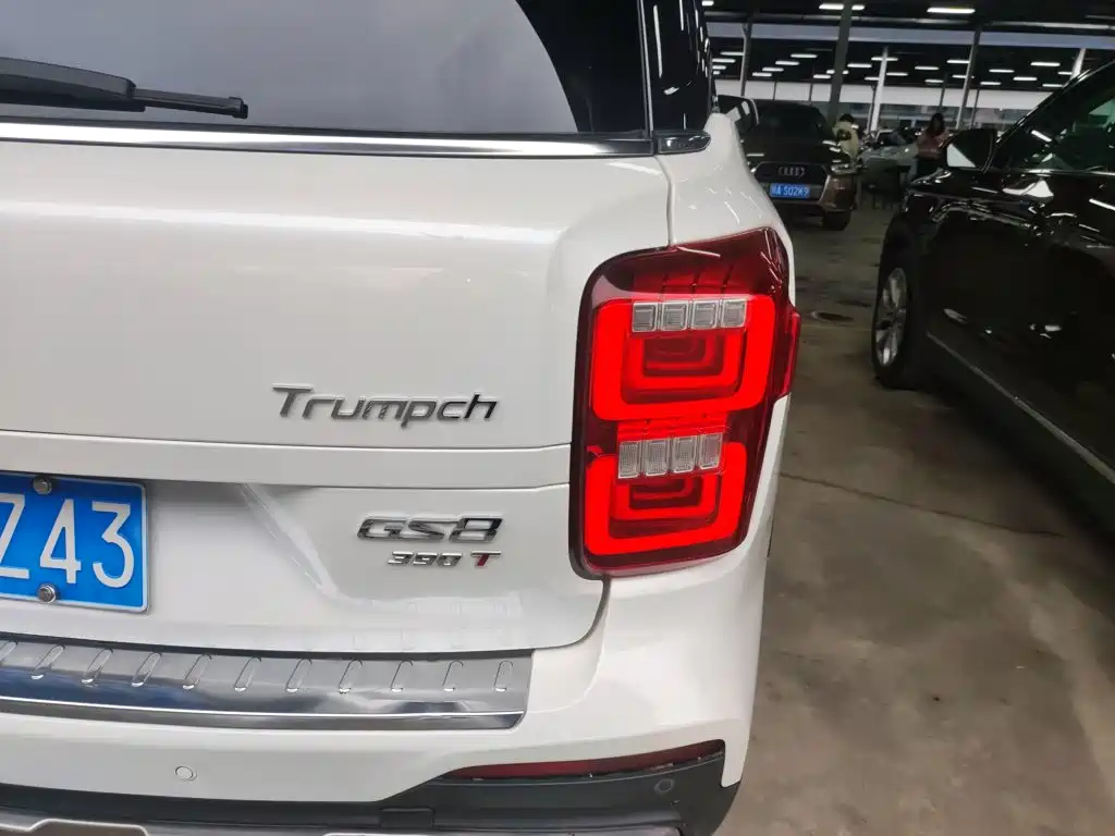 GAC Trumpchi GS8 2021 — фото 8