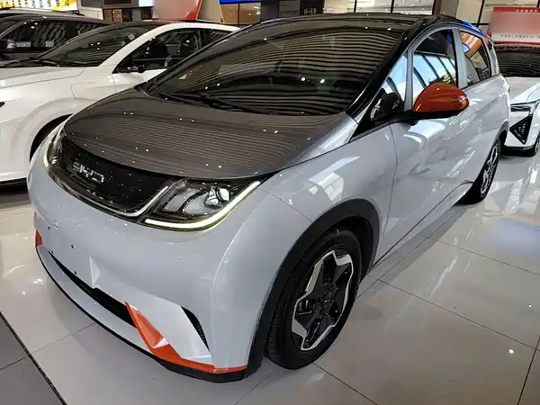 BYD Dolphin 2021