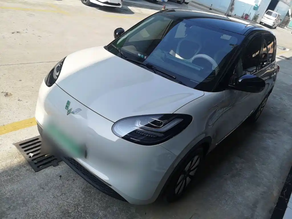 Wuling Bingo 2024