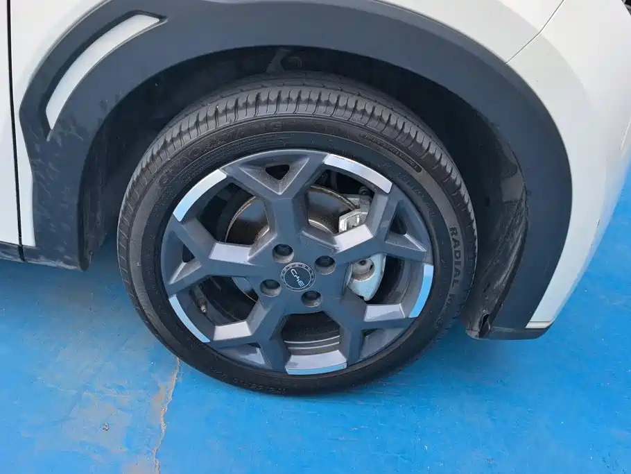 BYD Seagull 2024