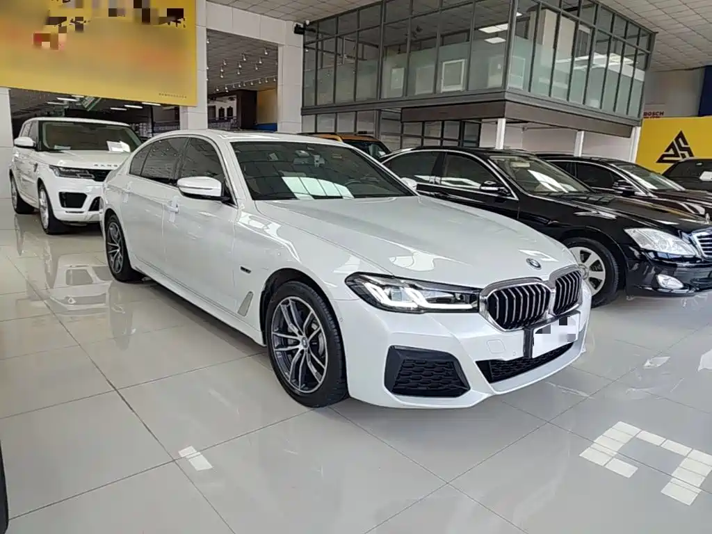 BMW 5 Series New Energy 2022