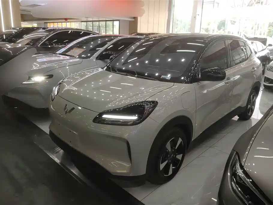 Wuling Bingo PLUS 2024