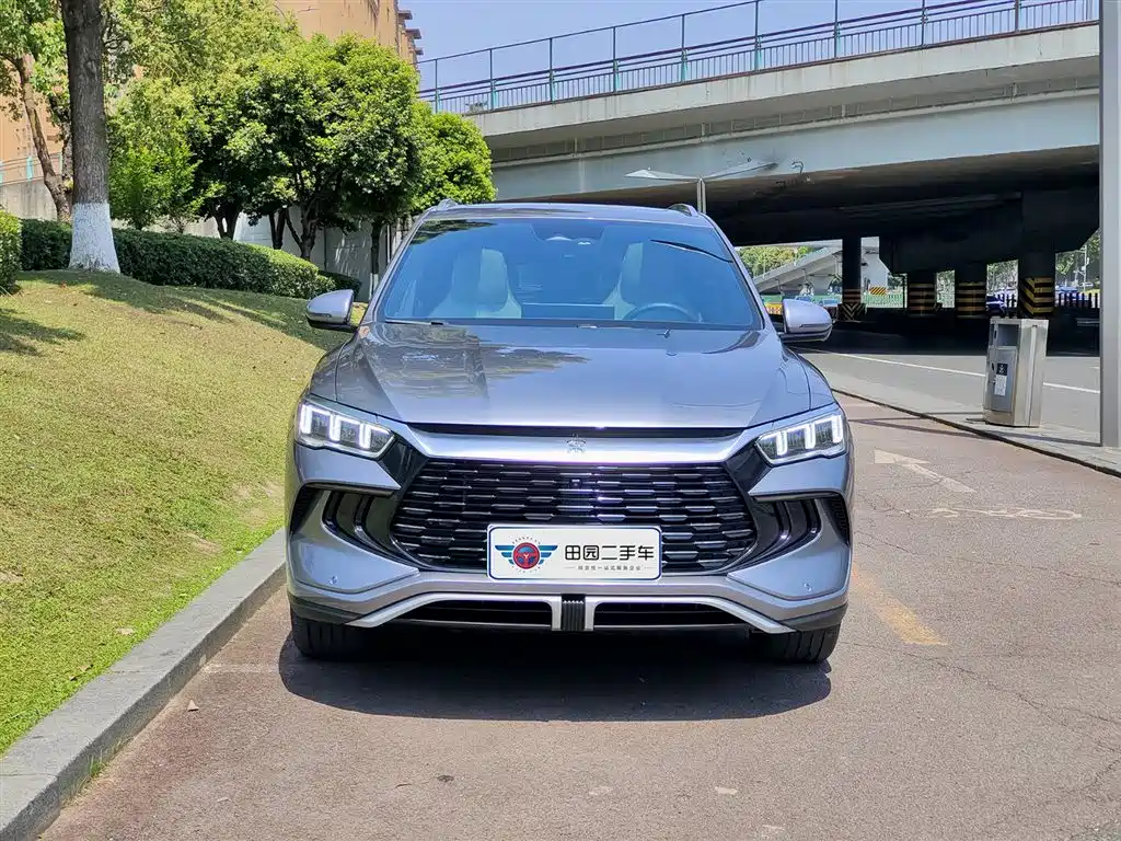 BYD Pro New Energy 2024 — фото 2