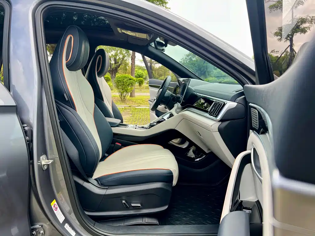 BYD Song PLUS New Energy 2022 — фото 17