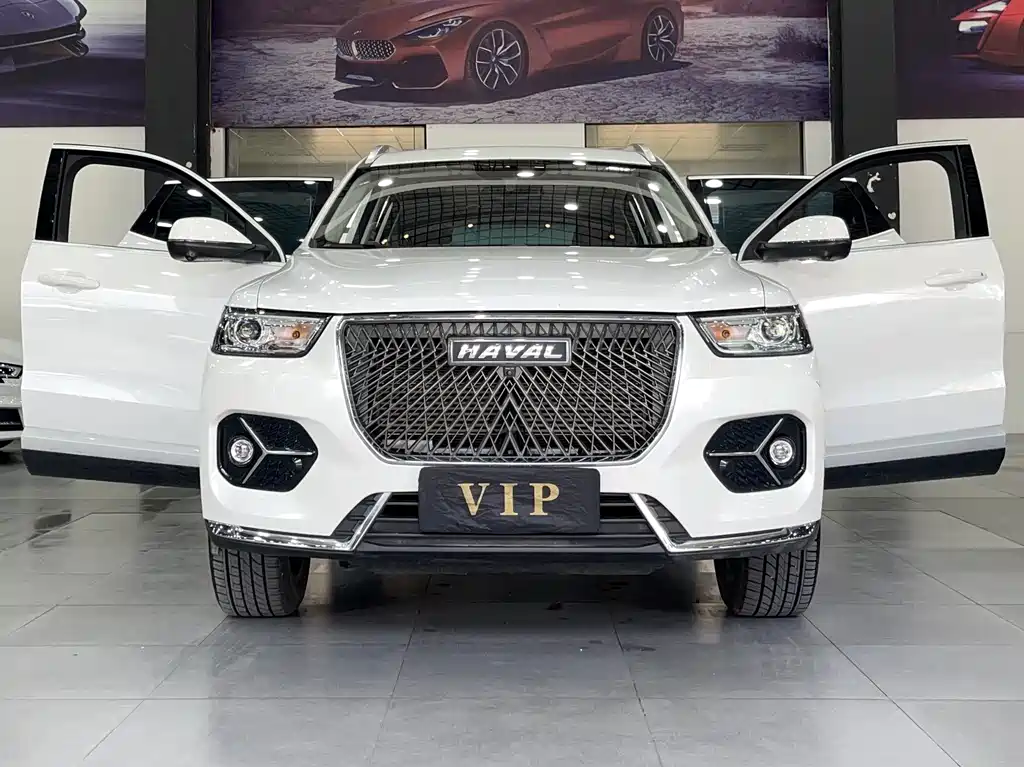 Haval H6 2021 — фото 15