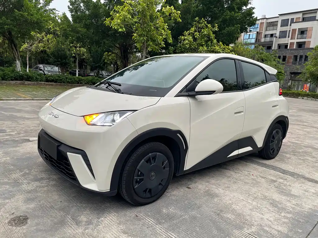 BYD Seagull 2024