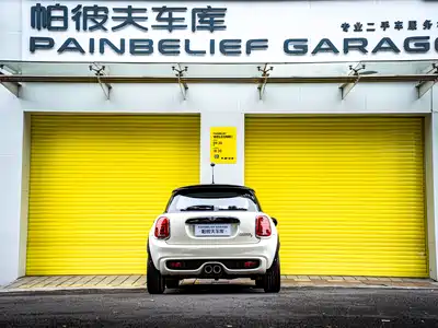 MINI MINI 2019