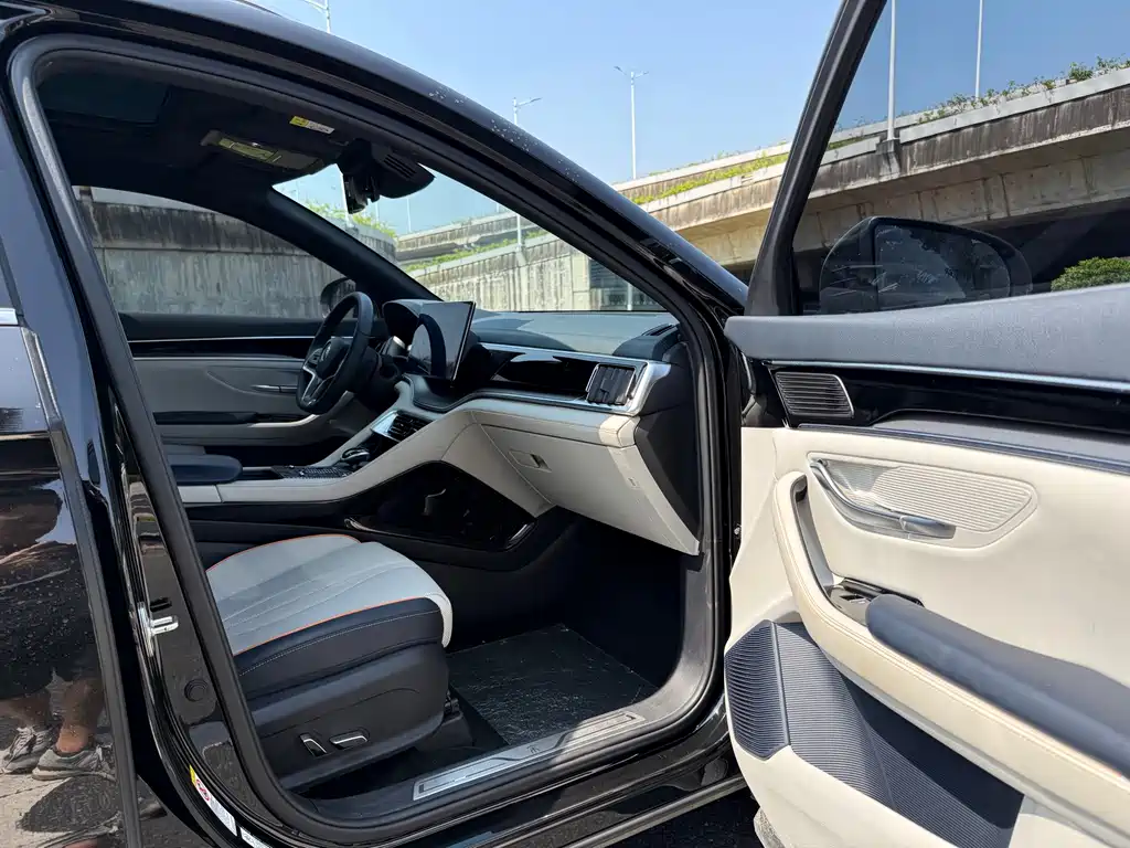 BYD Song PLUS New Energy 2022 — фото 16