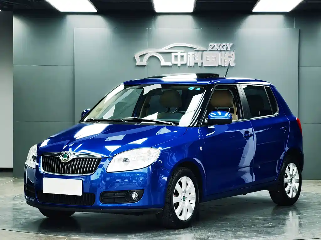 Skoda TECHART 2010 — фото 1