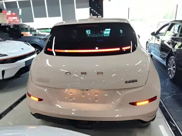 Ora Good Cat 2023