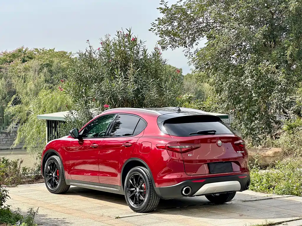 Alfa Romeo Stelvio 2017 — фото 6