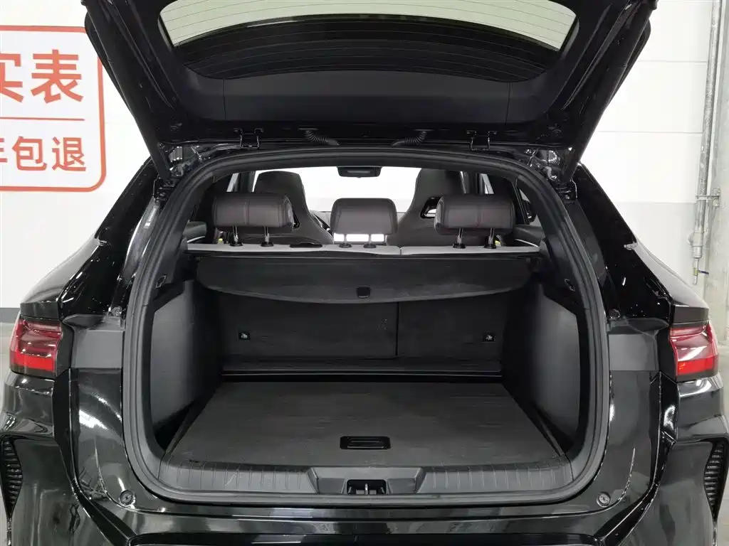 BYD PLUS New Energy 2025 — фото 16
