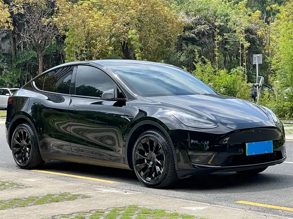 Tesla Model Y 2021 — фото 4