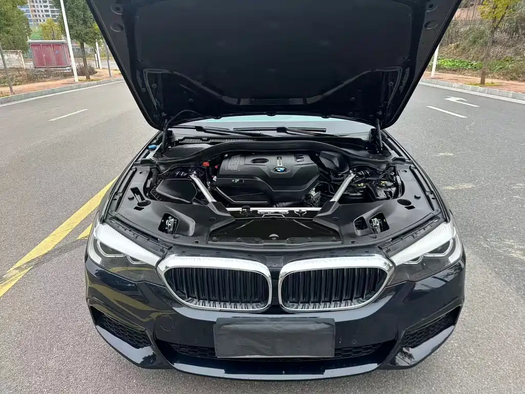 BMW 5 Series 2020 — фото 16