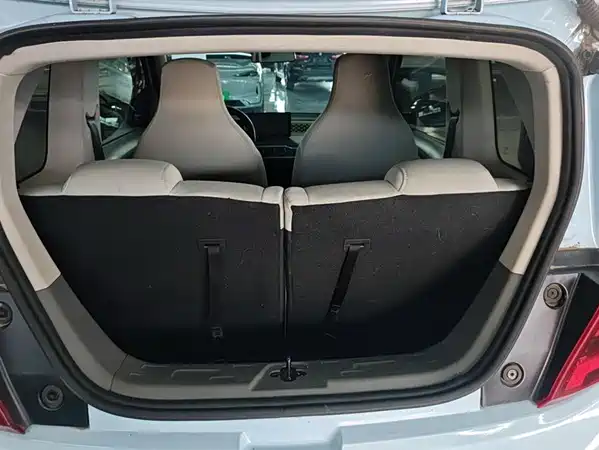 Dongfeng Scenery MINIEV 2022