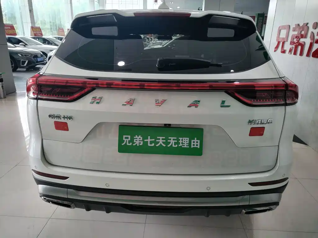 Haval H6 2022 — фото 13