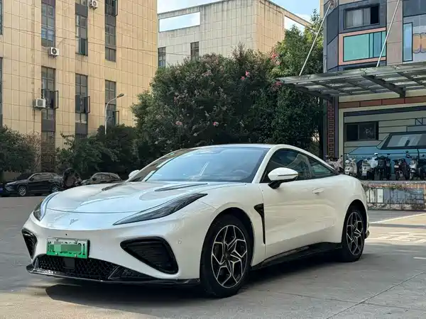 Neta GT 2024