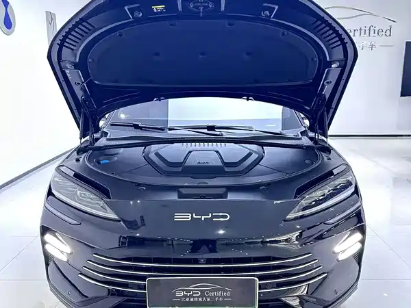 BYD Song PLUS New Energy 2024
