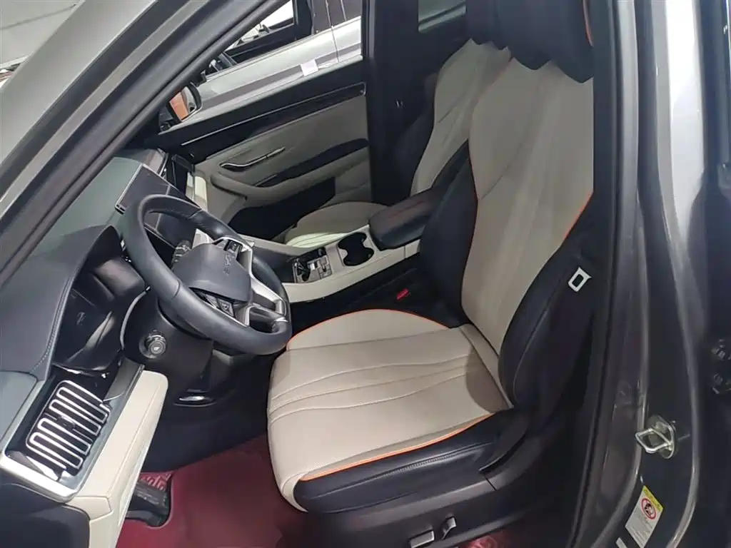 BYD PLUS New Energy 2024 — фото 15