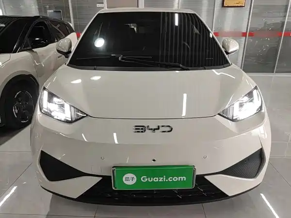 BYD Seagull 2025
