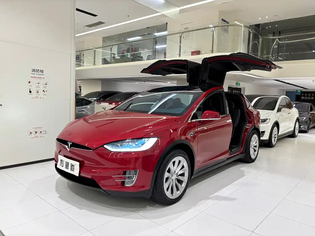 Tesla Model X 2019 — фото 1