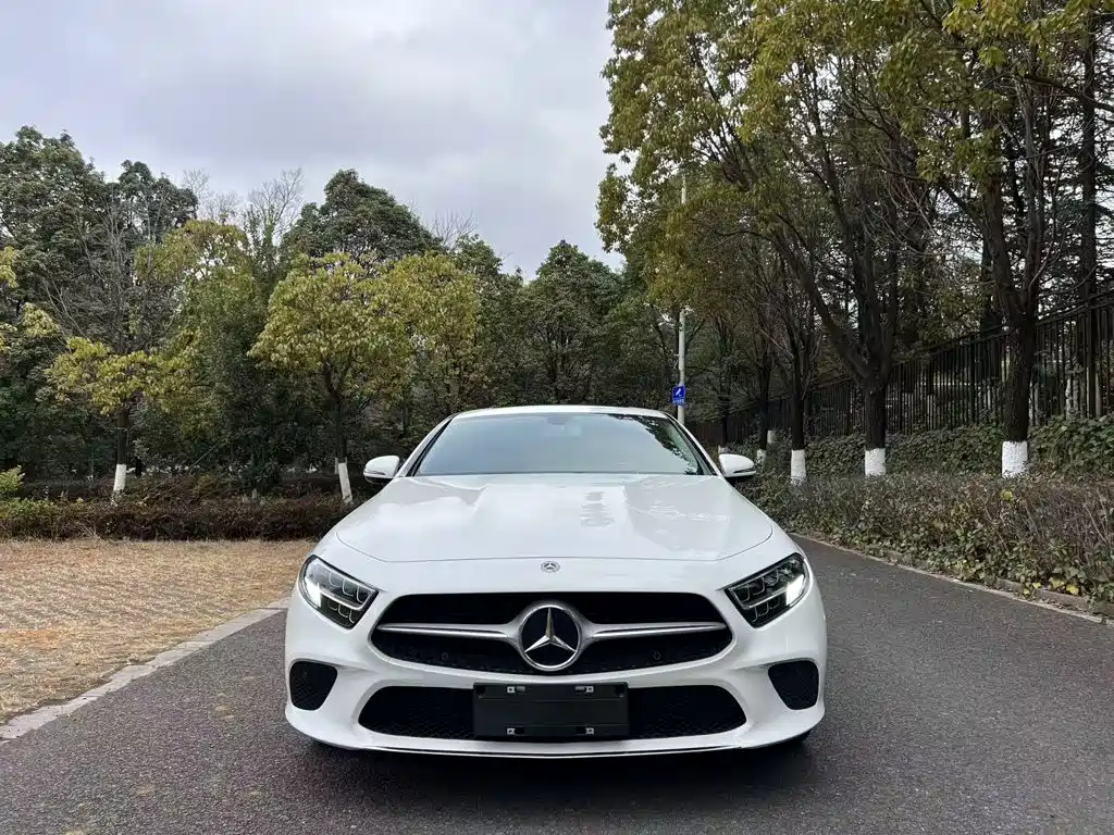 Mercedes-Benz CLS 2021 — фото 25