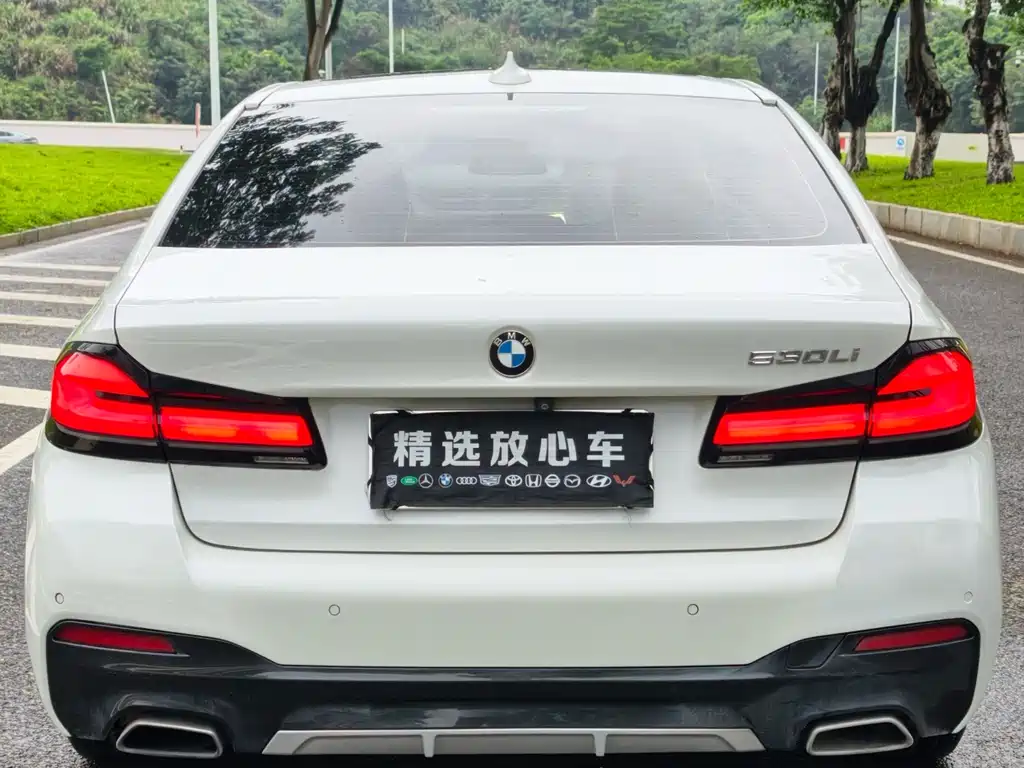BMW 5 Series 2018 — фото 5