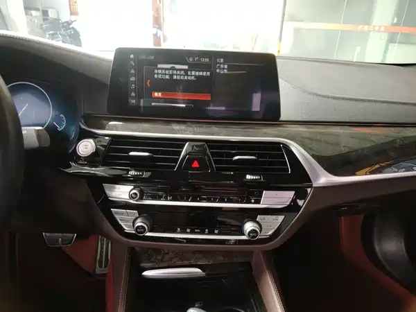 BMW 5 Series 2019