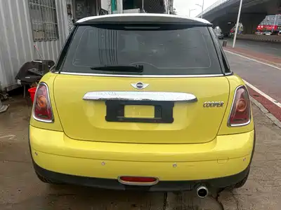 MINI MINI 2010
