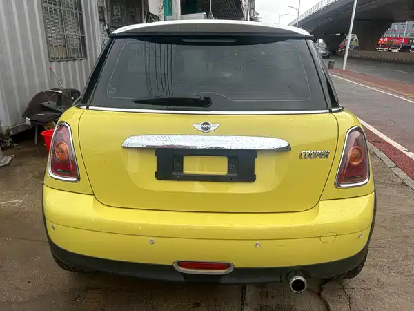 MINI 2010