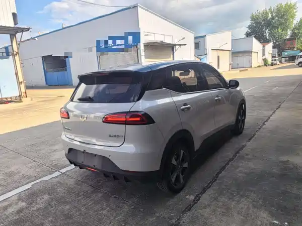 Wuling Bingo PLUS 2024