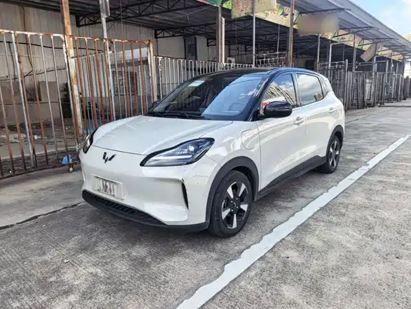 Wuling Bingo PLUS 2024