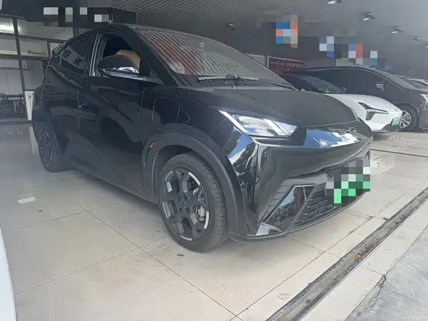 BYD Seagull 2024