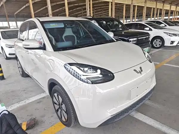 Wuling Bingo 2024