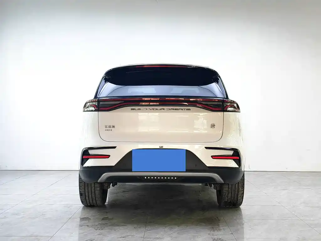 BYD Tang New Energy 2023 — фото 4