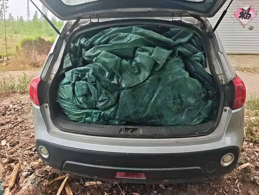 Nissan Qashqai 2013