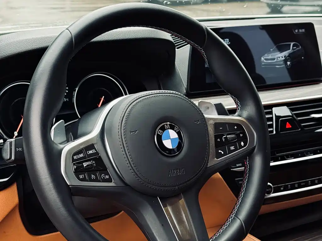 BMW 5 Series 2018 — фото 19