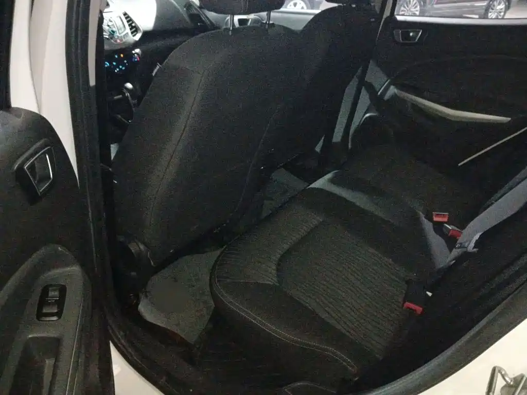 Ford Ecosport 2017 — фото 14