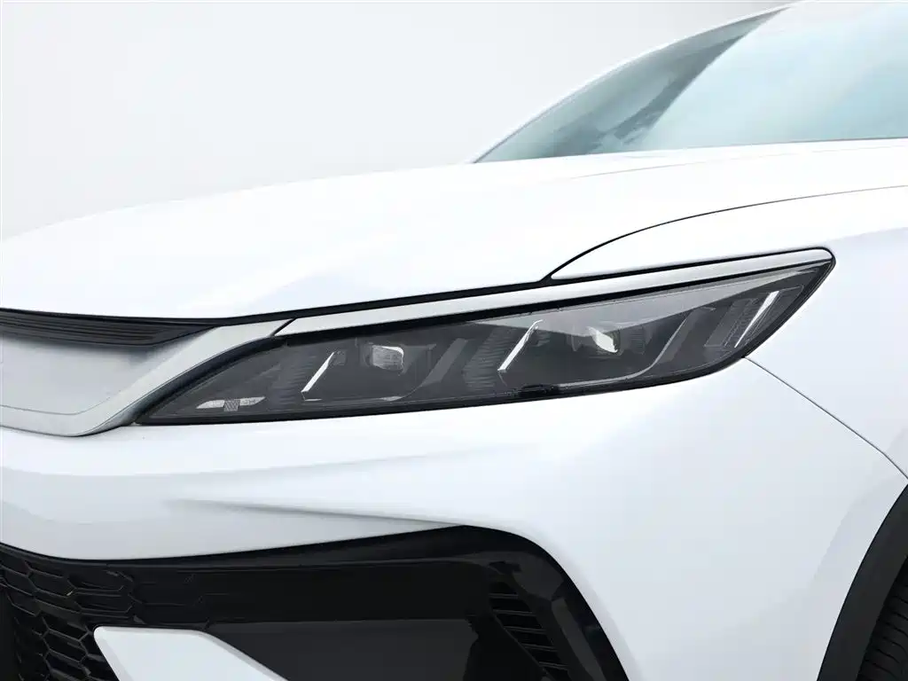 BYD Pro New Energy 2024 — фото 9