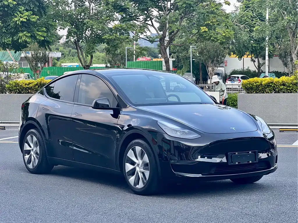 Tesla Model Y 2021 — фото 3