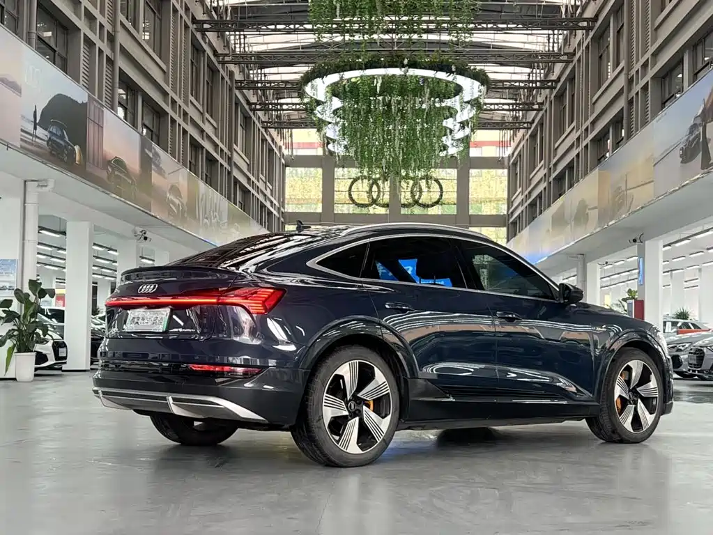 Audi e-tron 2021 — фото 3