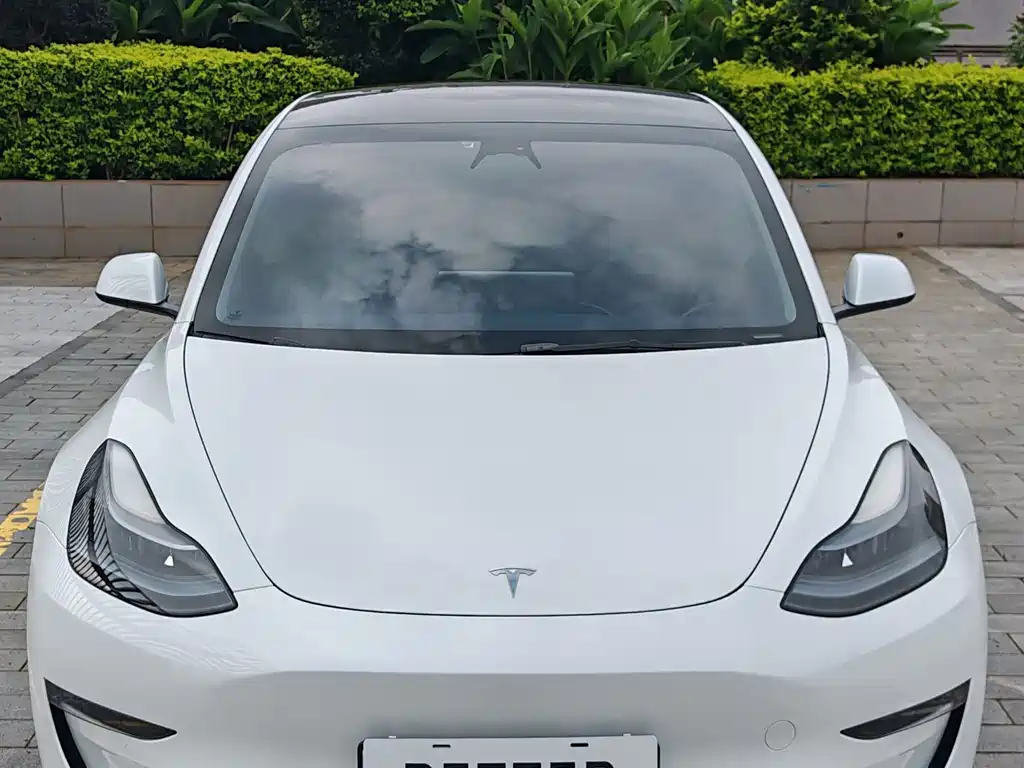 Tesla Model 3 2023 — фото 2