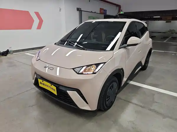 BYD Seagull 2024
